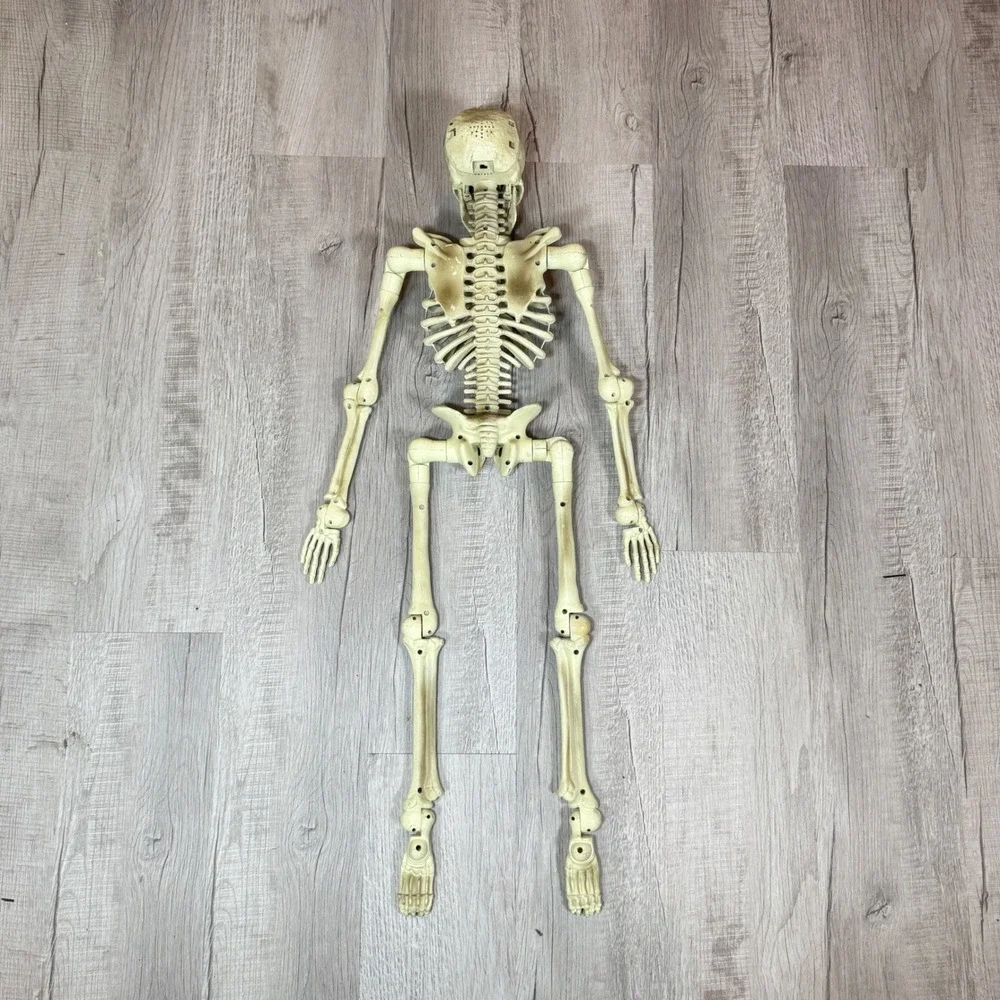 Gemmy Wisecrack Jack Skeleton Talking Pop Out Eyes Prop - As-Is For Parts